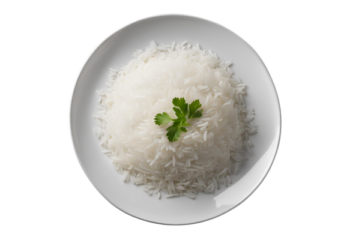 Basmati Rice- 500 g (Bulk item)