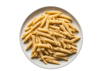 Gluten free penne pasta- 500 g (Bulk item)